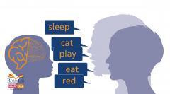 Smart Talk Smart Talk