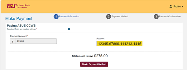 example of system generated numbers on registration payment page